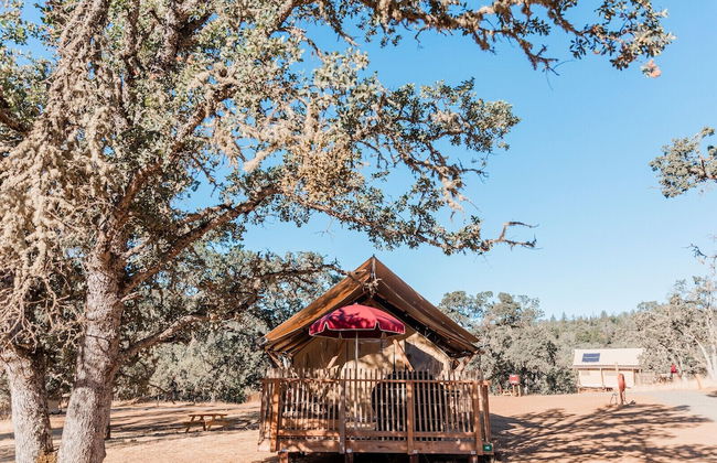 Huttopia Wine Country - Foto 17