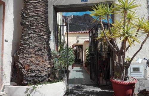 Finca Patio Canario - Foto 20