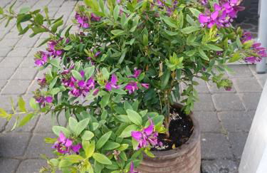 "Loft" in Wolfenbüttel - Foto 15