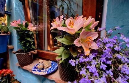 El patio azul Bohemio Mágico - Foto 44