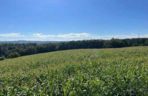 TINY-HOUSE mit Alpen- Stadt- und Poolblick , WLAN - Foto 17