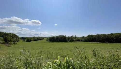 Sonnengelb - Fulgenhaus - Foto 5