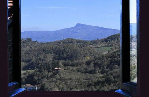 La Palette - Foto 33