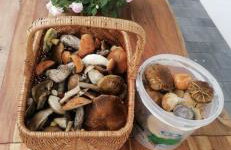 Lasy Jeziora, Cisza i Spokój, Grzybki i Rybki, Dom 180m2 w Swornegacie nad jeziorem Karsińskim - Foto 46