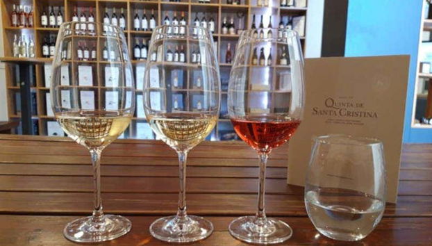 Wine tasting in Quinta de Santa Cristina