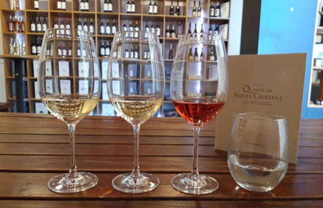 Dégustation de vin à la Quinta de Santa Cristina - Photo 2