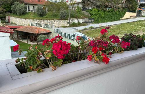 Villa Violetta - Foto 42
