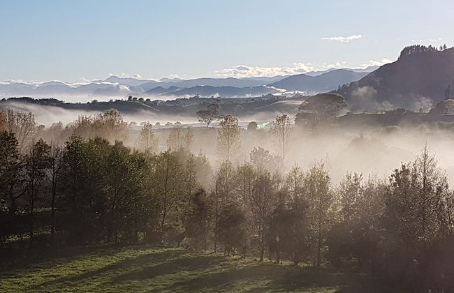 Capeview Cottage - Foto 13