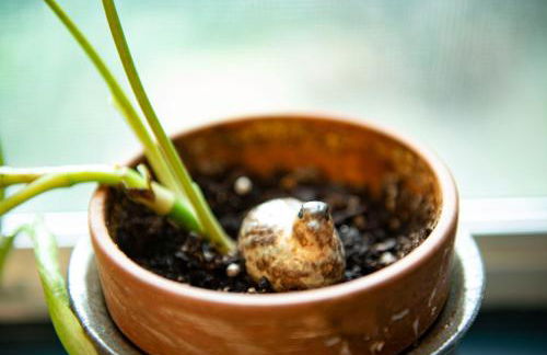 Downtown Lynchburg, Vintage Courtyard Loft, Va - Foto 26