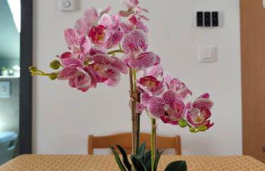 BAN CHAILAI studio - Foto 9