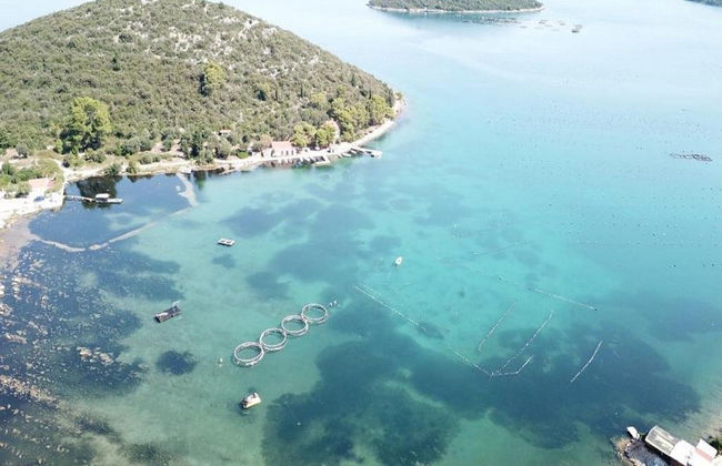 Apartment Pascal - Foto 13