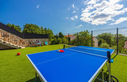 Stone Villa Mavrić - Foto 40