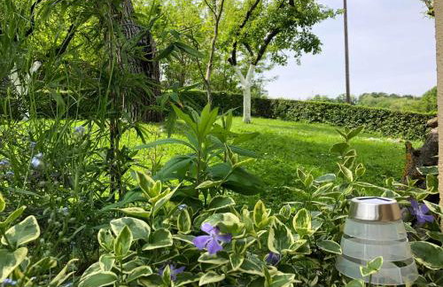 Kod Basaričeka - Photo 11