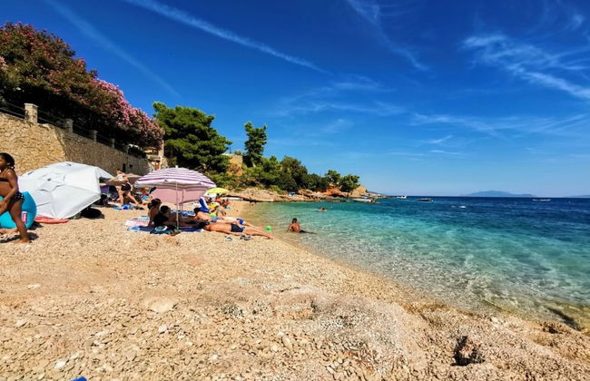 Dino - Gorgeous Garden - SA1 Zavala - Photo 28