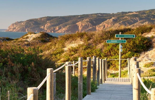 Private Full Day Tour of the Charming Village of Cascais - Photo 37