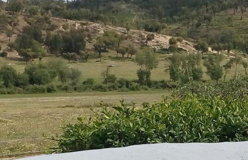 Herdade da Maxuqueira - Foto 47