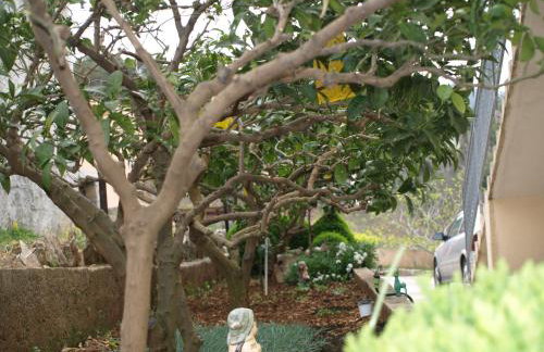 Apartments Ljilja sea view - Photo 25