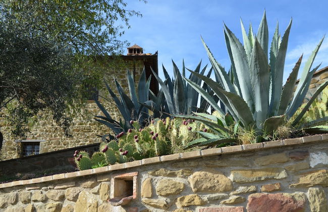 Agriturismo Vocabolo Poggio del Pero - Foto 66