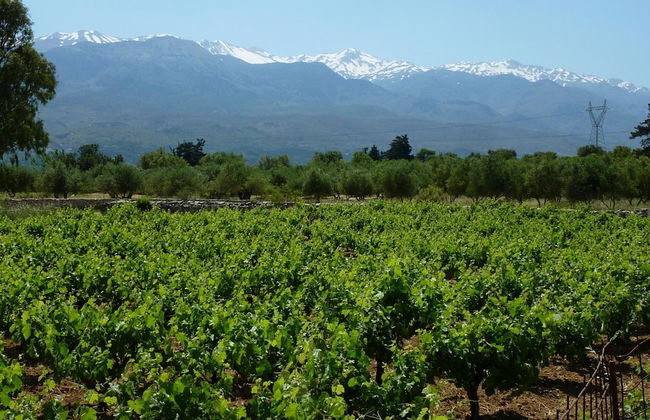 Villa Artemis in Vrises - Foto 55