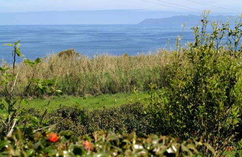 Casa da Paz - Foto 25