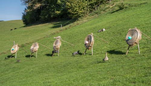 Jungbauernhof - Foto 3