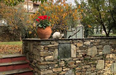 Dreamy Cottage - Photo 20