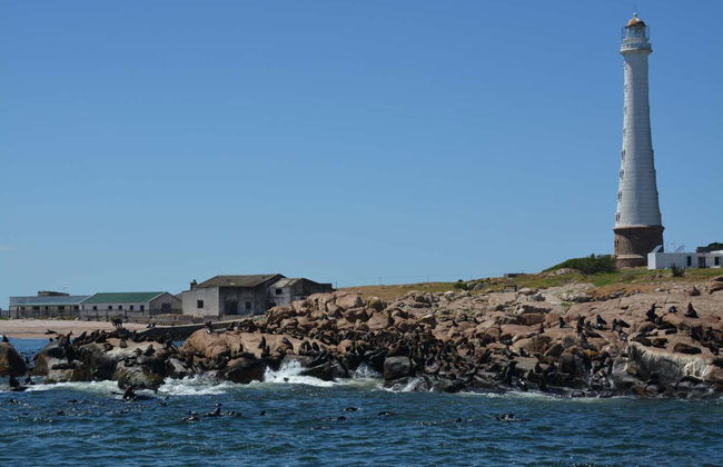 Excursion à Punta del Este - Photo 7