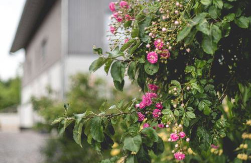 Ferienhof Mrowka - Photo 6