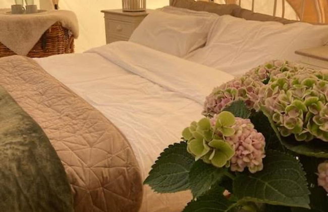 Flower Farm Glamping Retreat in Suffolk - Foto 1