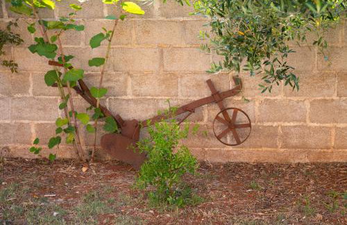 Uliveto Apartment - Foto 29