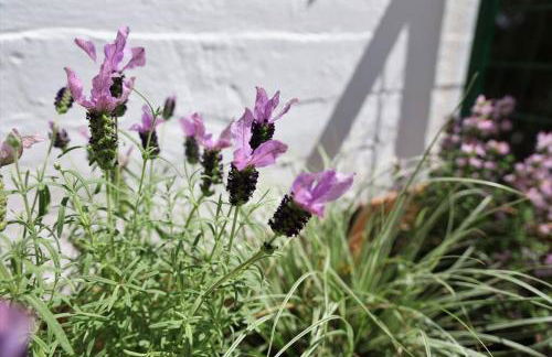 Το σπίτι δίπλα στη θάλασσα / The house by the sea - Foto 13