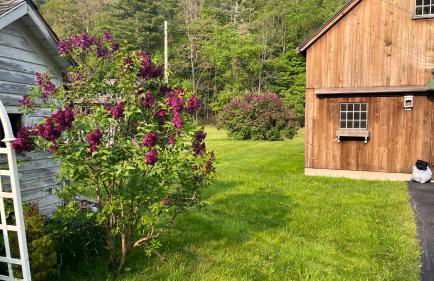 The Tannery House - Foto 68