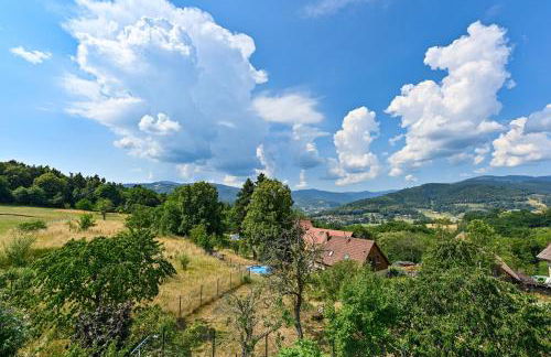 Maison de charme Haslach 300m2 Grand séjour 15 personnes - Belles vues ! - Foto 40