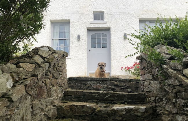 Tan Y Cytiau - Foto 60