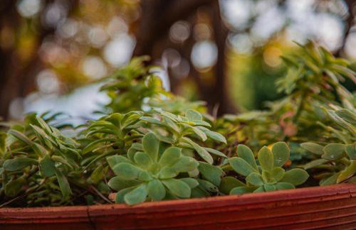 Sea Point - Photo 30