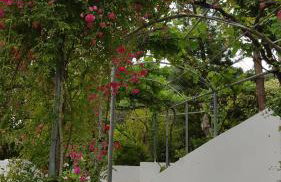 Gina Studios - Foto 62