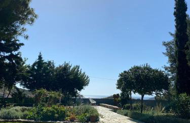 Villa-Agave , by the sea in Porto-Rafti outside Athens - Foto 15