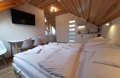 Apartamenty przy szlaku - Foto 1