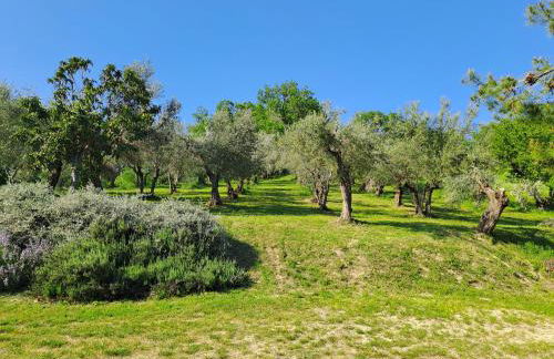 Casa Martin , 4 bedroom villa - Foto 70