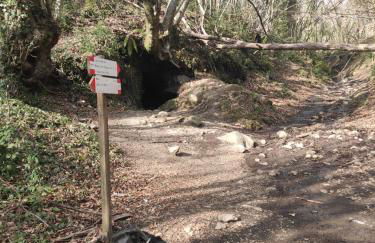 Villa Anna - Foto 31