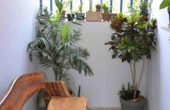 Residencial Jasmim Apto Standard 04 - Foto 7