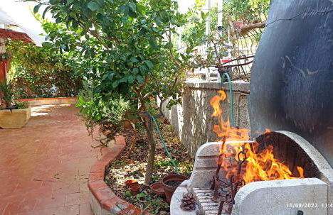 L'orchidea del faro - Foto 21