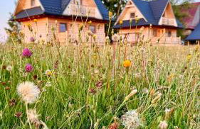 Śtyry Pory Roku - Foto 56