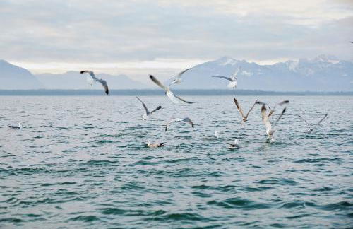 Chiemsee Cottage - Foto 33