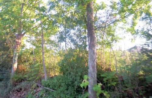 Apartaments Ca La Pauleta - Foto 43