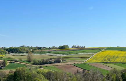 W Kręgu Natury - Foto 37