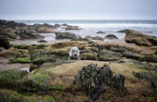 Church View, Helston Old Town - Foto 36