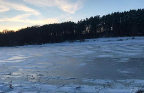 Sieburczynianka - Foto 46