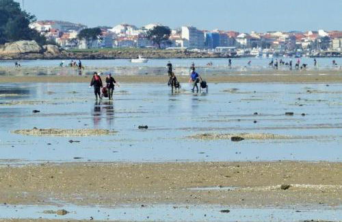 As Rosas Apartamentos turísticos - Foto 16