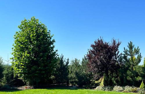 Stodoła Chillout Apartments - Foto 43